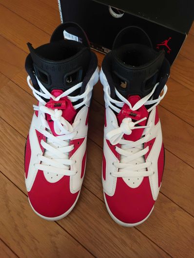 Nike Air Jordan 6 "Carmine" (2021)