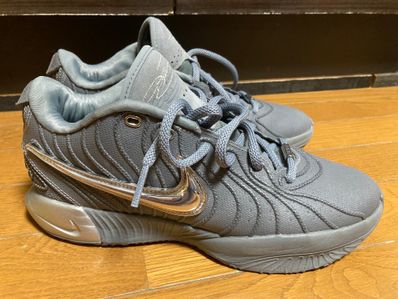Nike LeBron 21 "Cool Grey" (HF5353-001/HF5352-001)