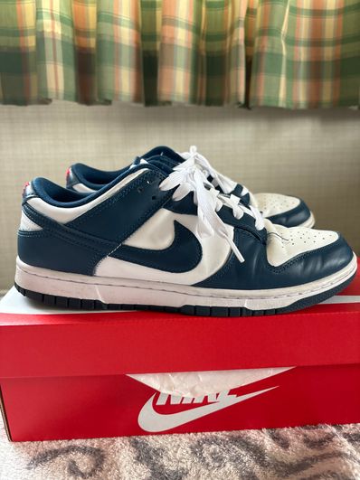 Nike Dunk Low "Valerian Blue"