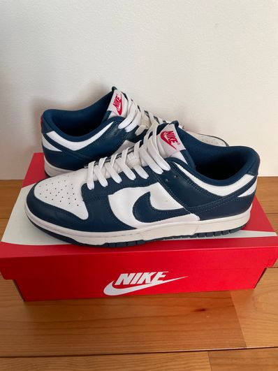 Nike Dunk Low "Valerian Blue"