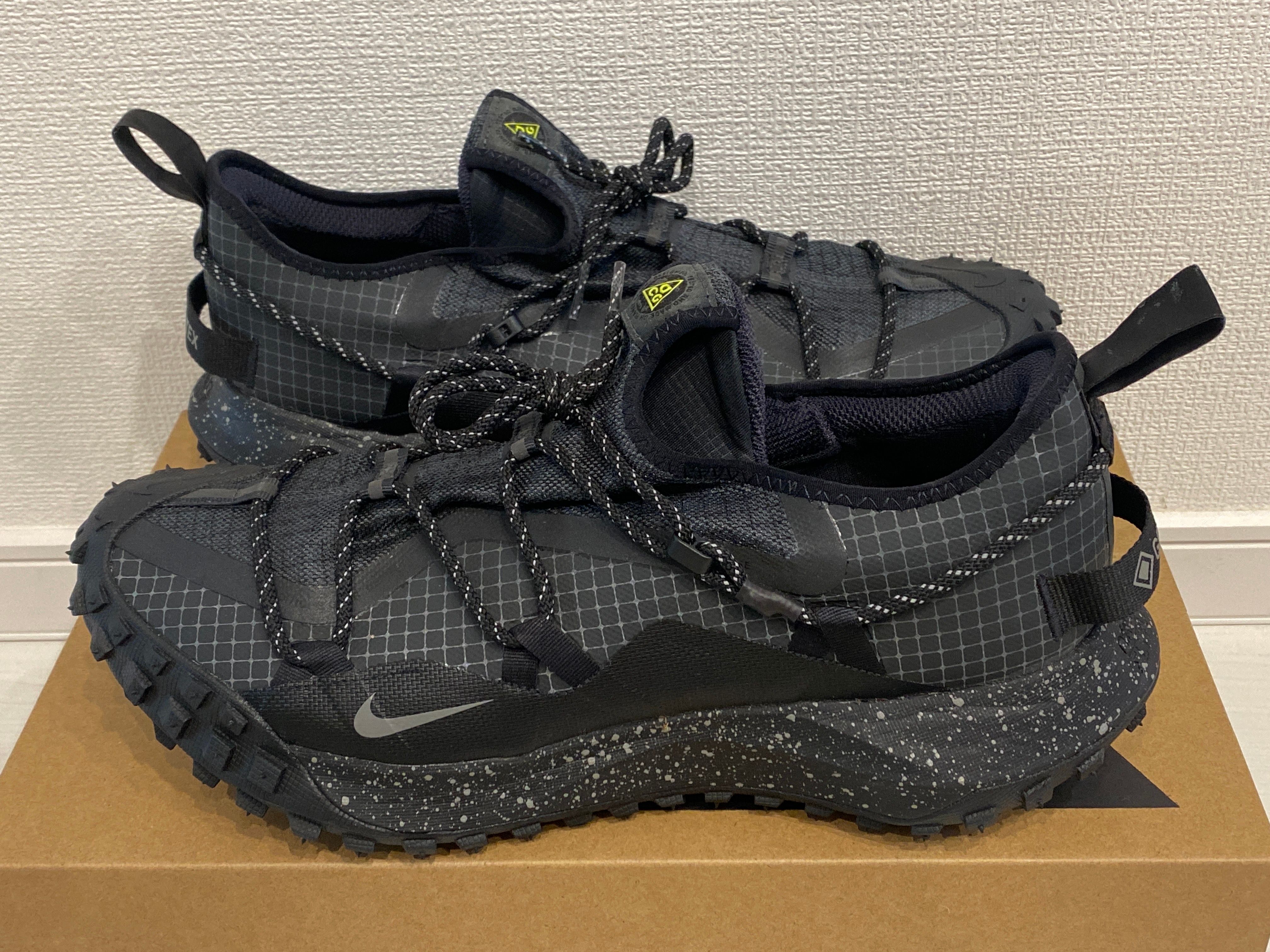 Nike ACG Mountain Fly Low GTX SE "Black"