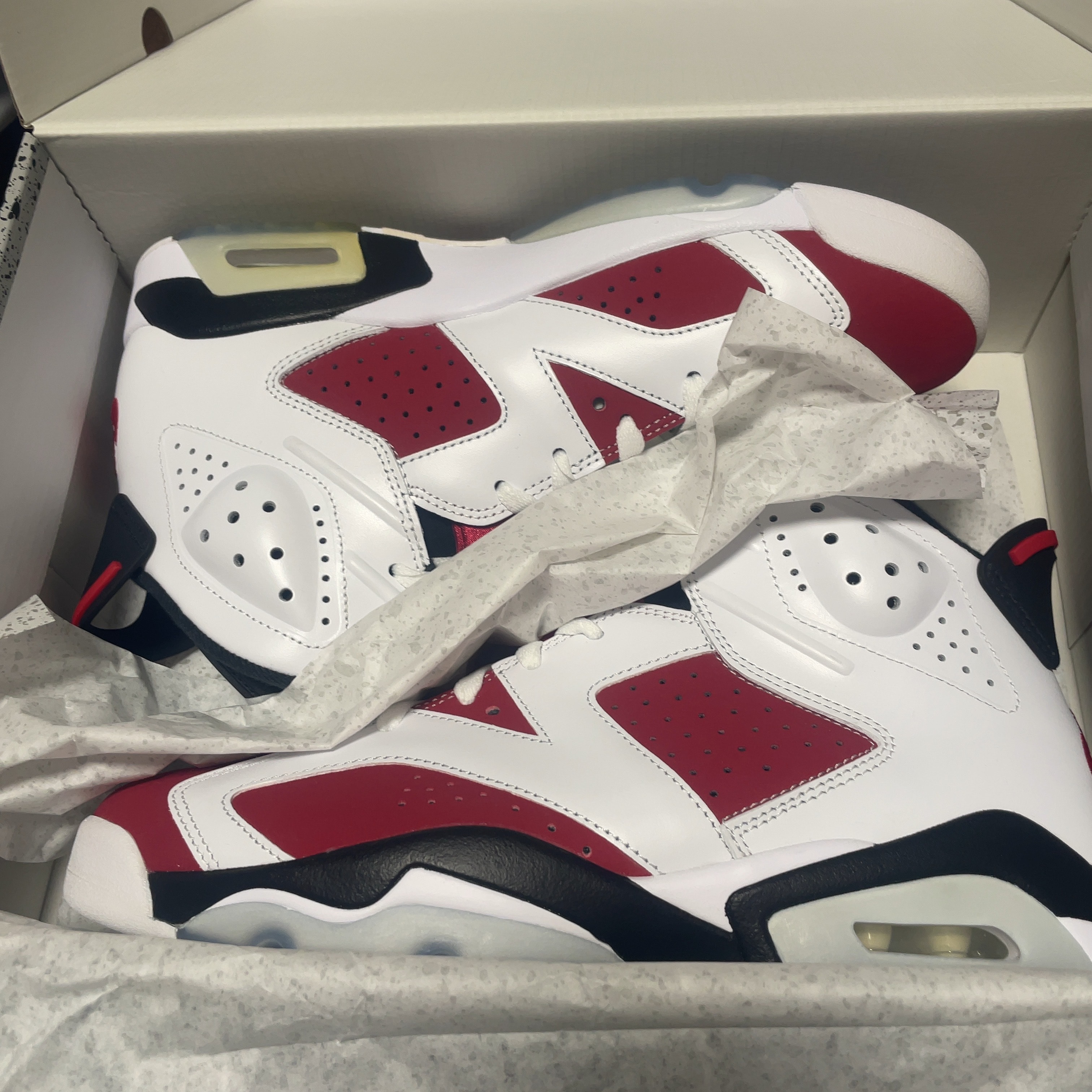 Nike Air Jordan 6 "Carmine" (2021)