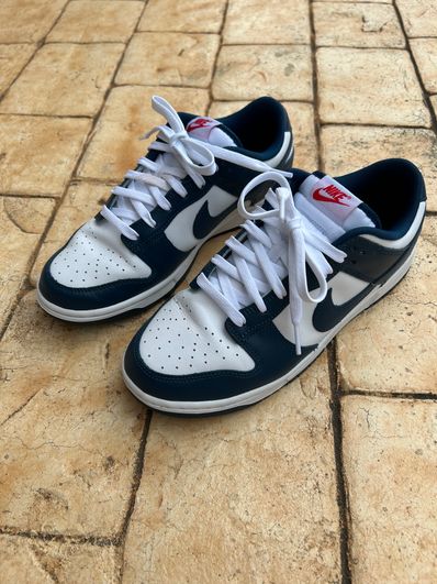 Nike Dunk Low "Valerian Blue"