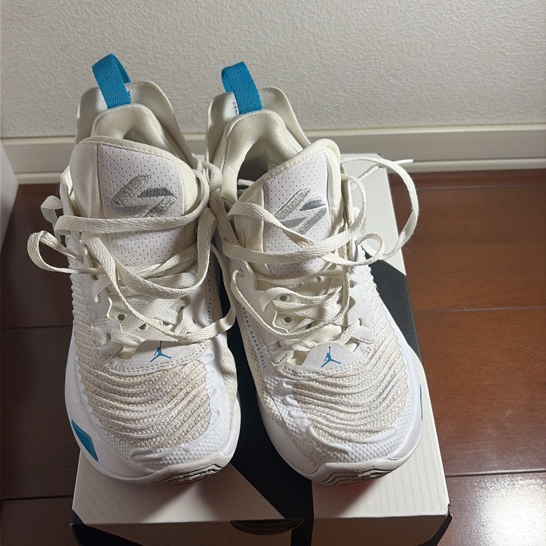 Nike GS Jordan Luka 1 "White/Neo Turquoise/Metallic Silver"