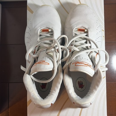 Nike LeBron 21 "Akoya"