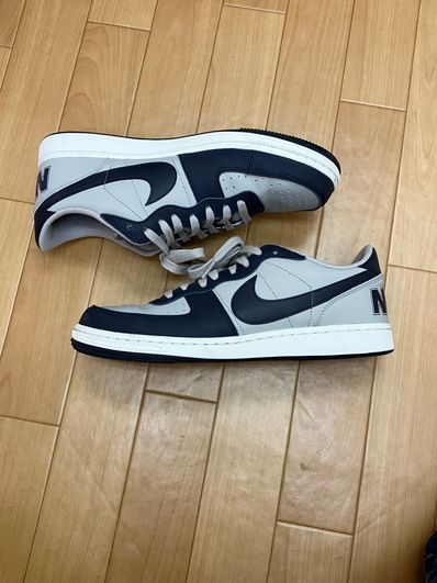 Nike Terminator Low "Dark Obsidian and Granite/Georgetown"(2023)