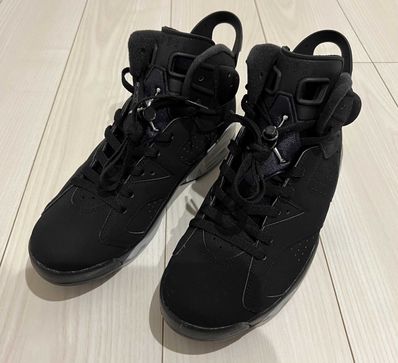 Nike Air Jordan 6 Retro "Metallic Silver"