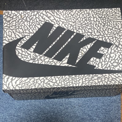 Nike Air Jordan 1 High OG "White Cement/Safari"