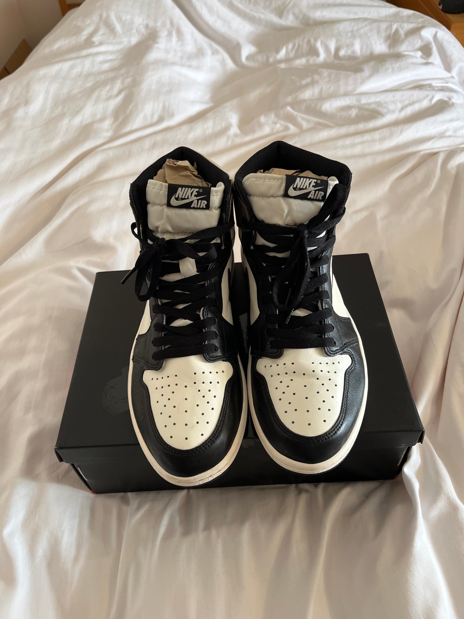 Nike Air Jordan 1 High OG "Sail/Dark Mocha/Black"