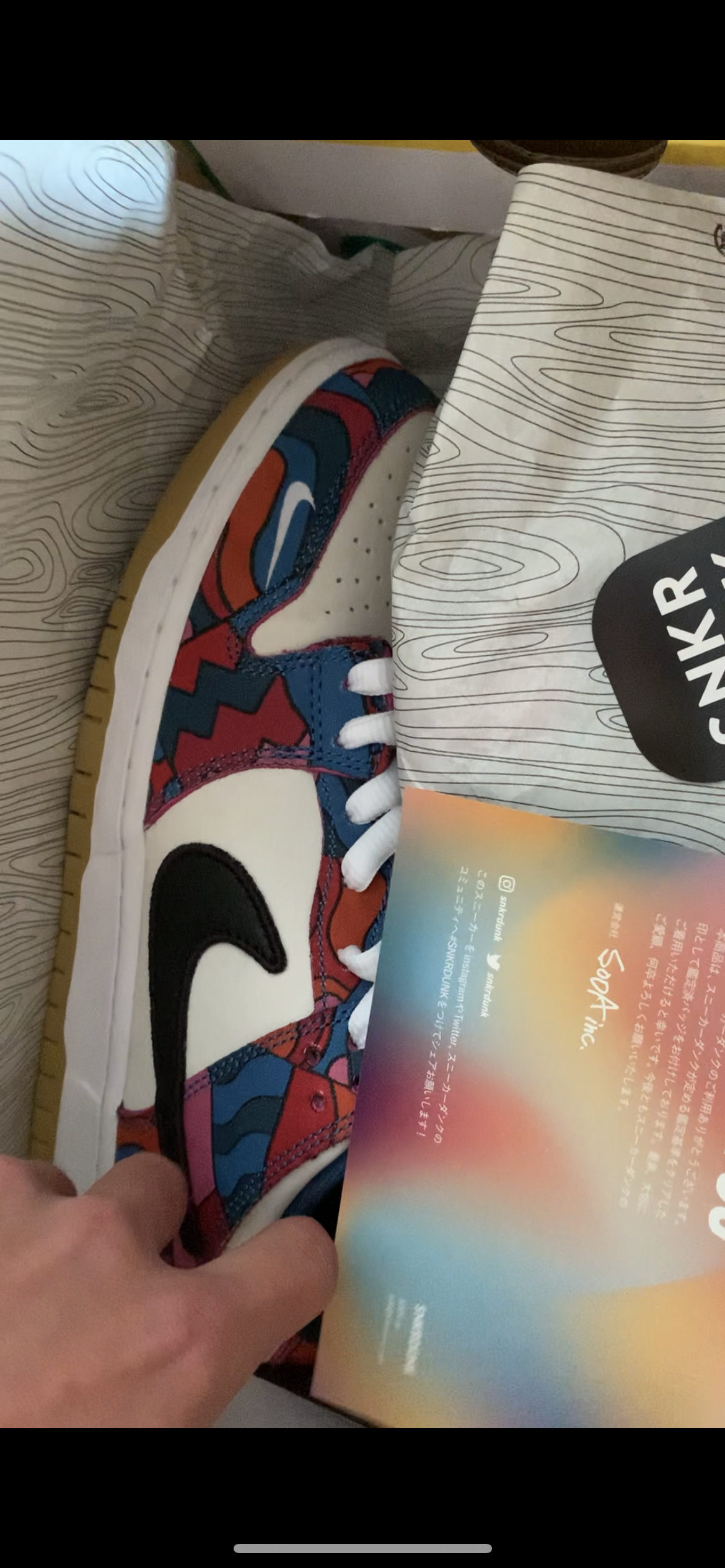 Piet Parra × Nike SB Dunk Low Pro "Abstract Art"