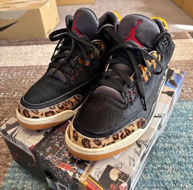 Nike Air Jordan 3 Retro SE "Animal Instinct/Safari"
