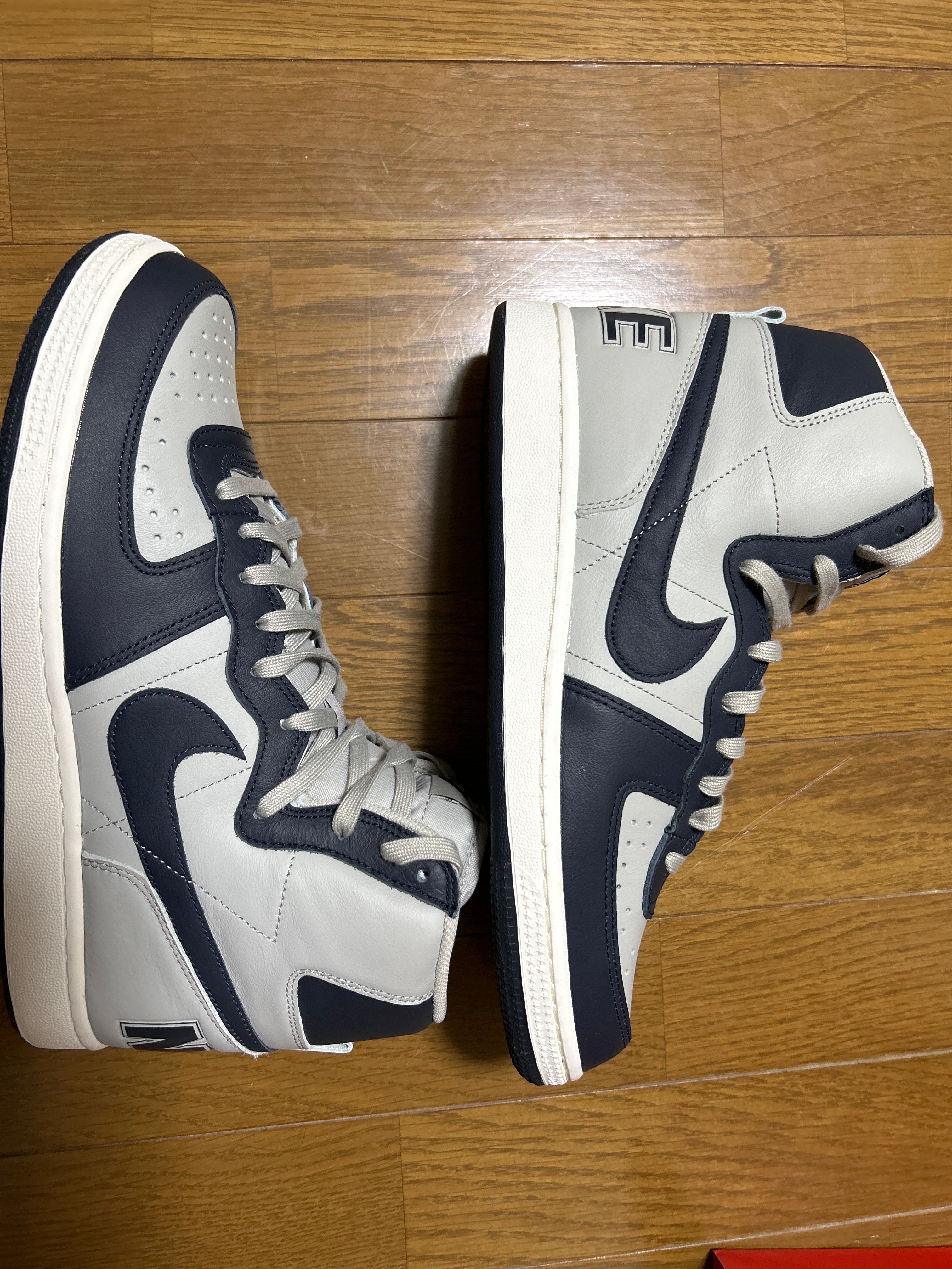 Nike Terminator High "Georgetown/Granite and Dark Obsidian"(2022)