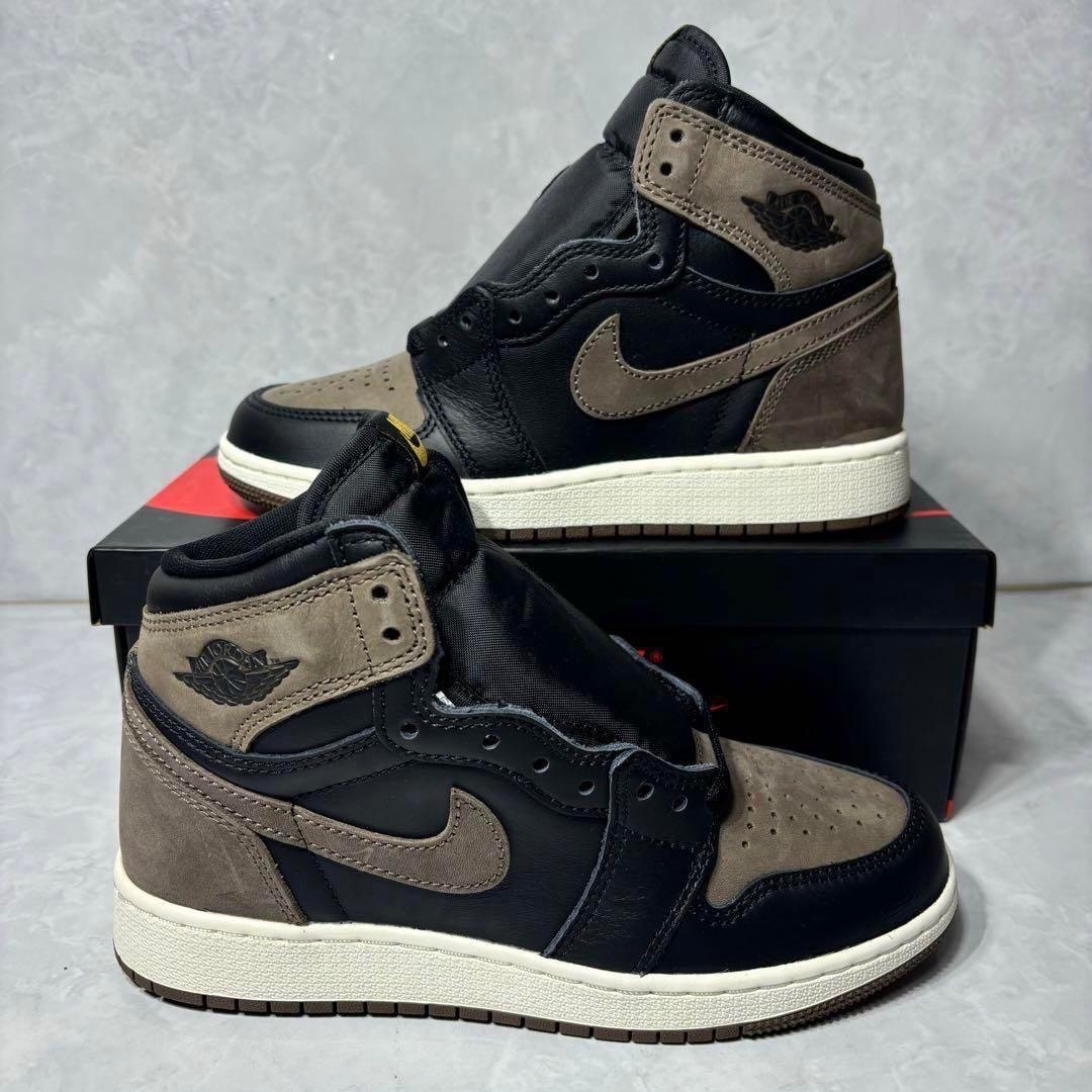 Nike GS Air Jordan 1 Retro High OG "Palomino"