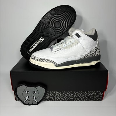 Nike GS Air Jordan 3 "Animal Icon/Safari"