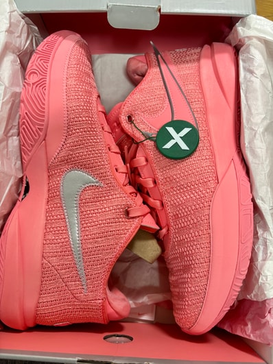 Nike LeBron 20 "Pink Diamond" (DJ5423-600/DJ5422-600)