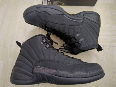 Winterized 2025 12 jordans