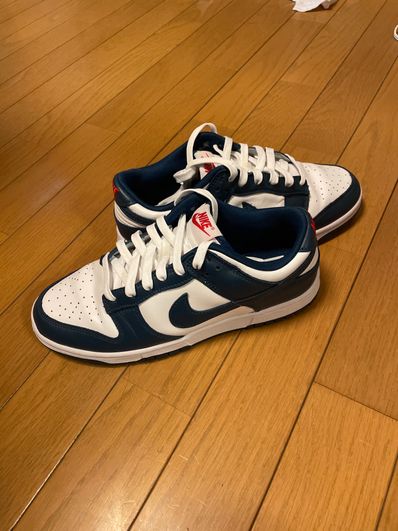 Nike Dunk Low "Valerian Blue"