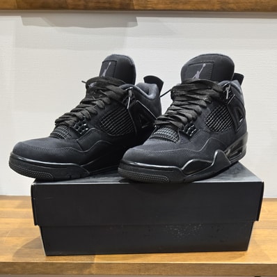Nike Air Jordan 4 "Black Cat"