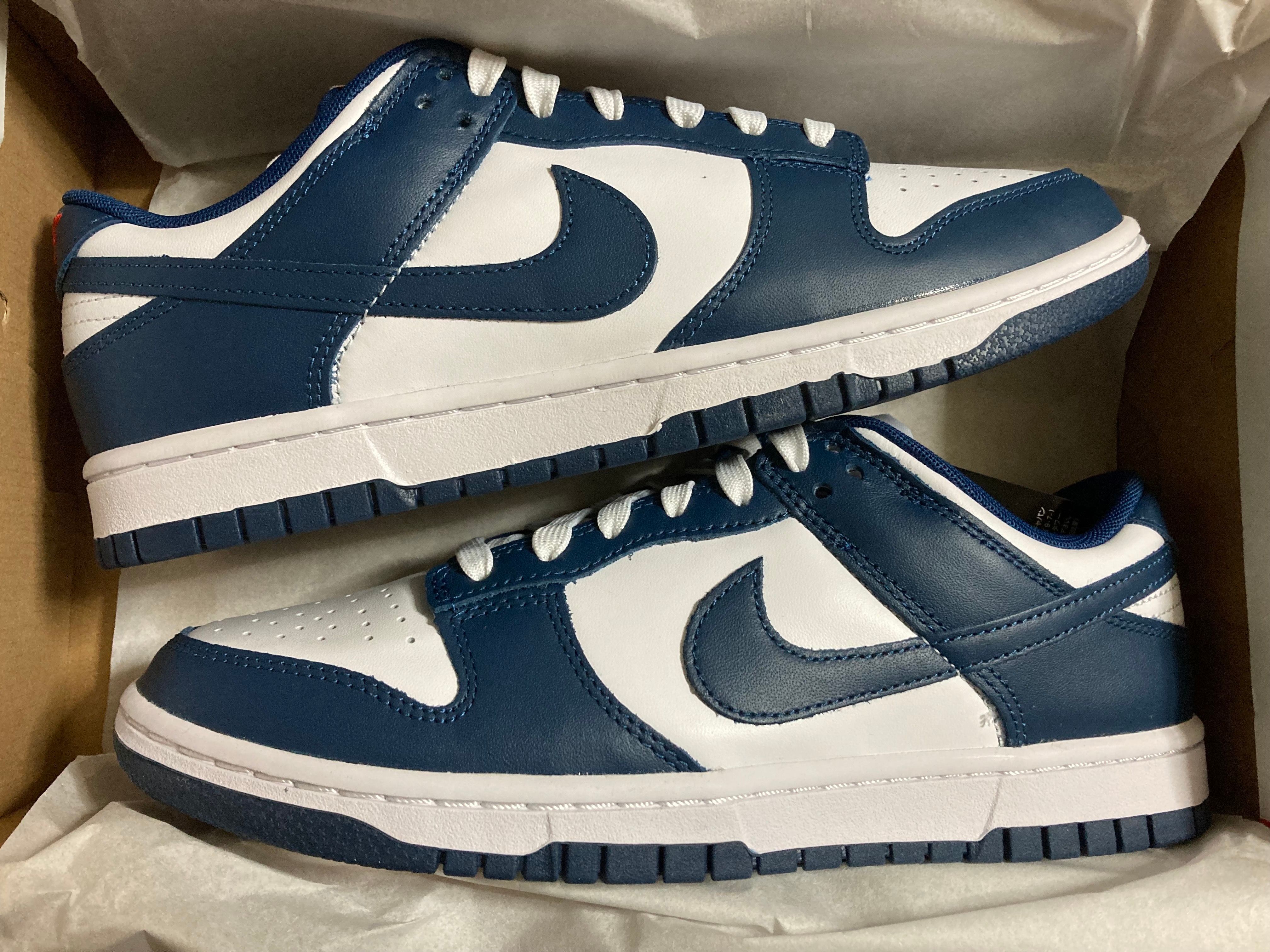 Nike Dunk Low "Valerian Blue"