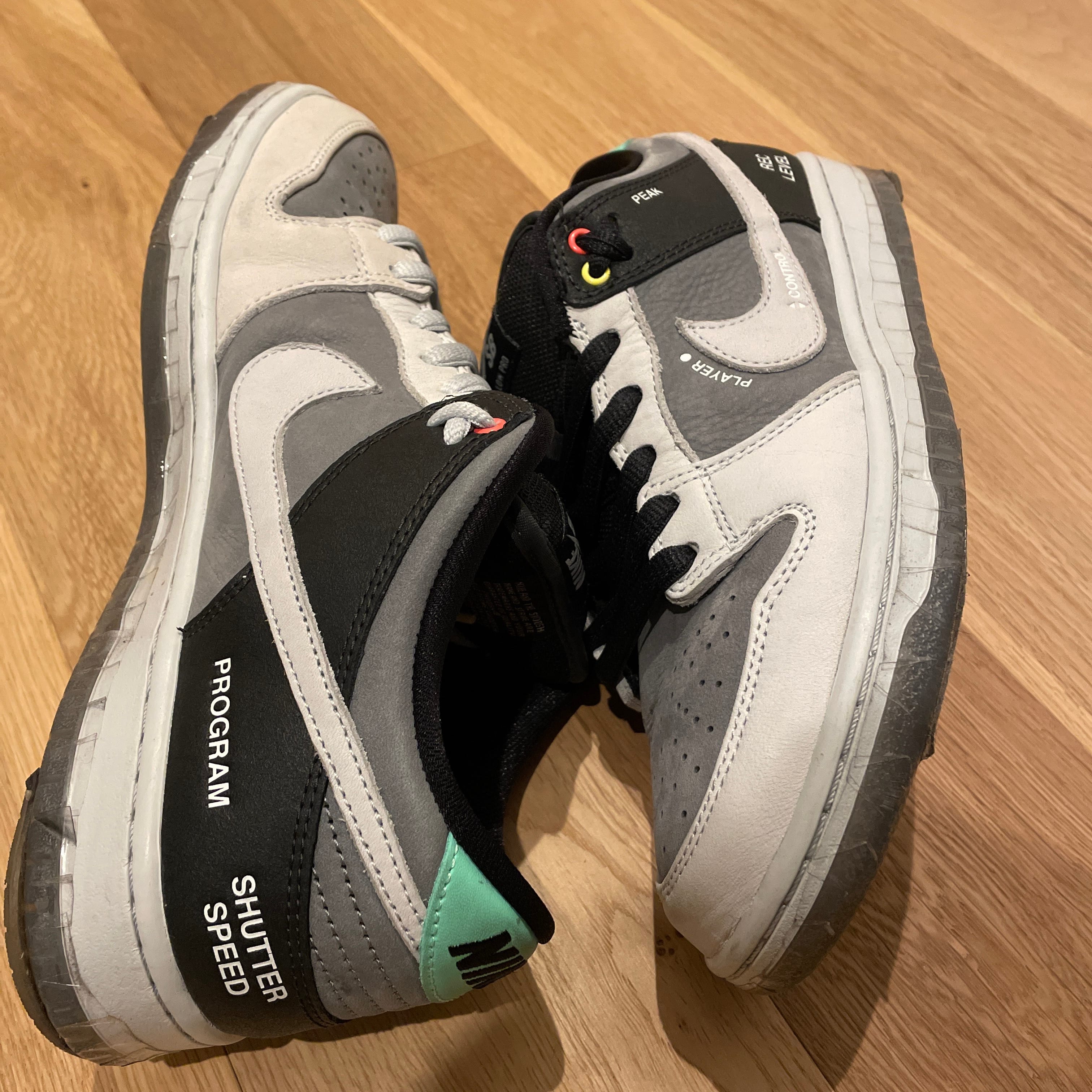 Nike SB Dunk Low Pro "VX1000 Camcorder"