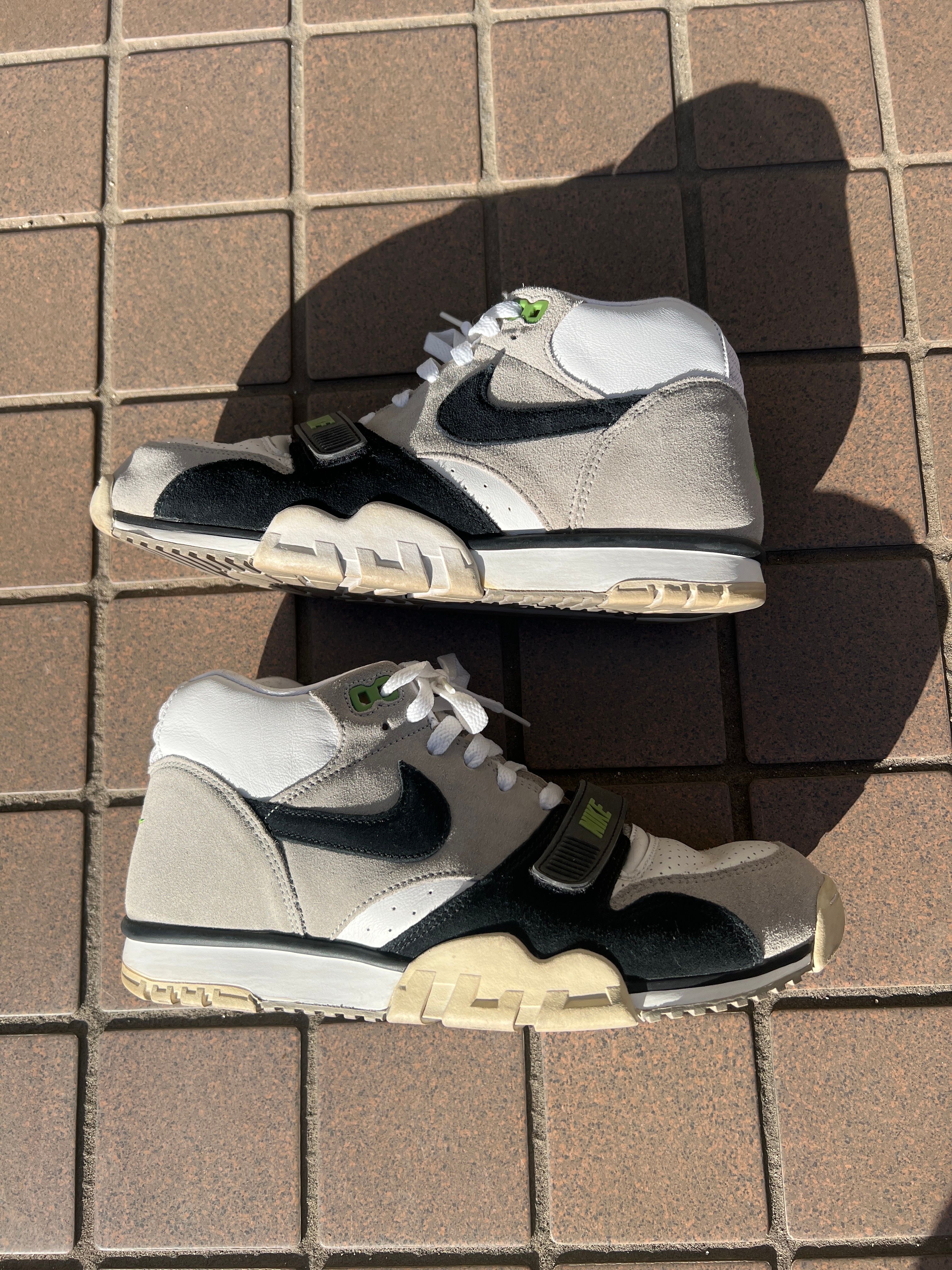 Nike SB Air Trainer 1 "Chlorophyll"