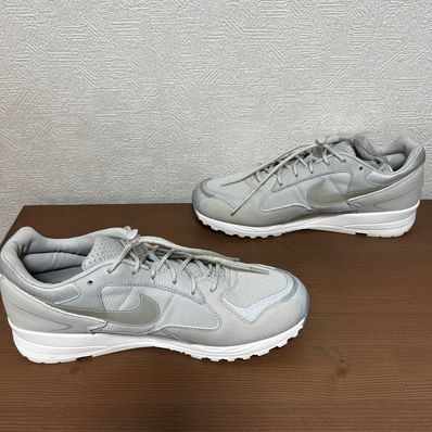Nike air skylon 2025 2 fog light bone