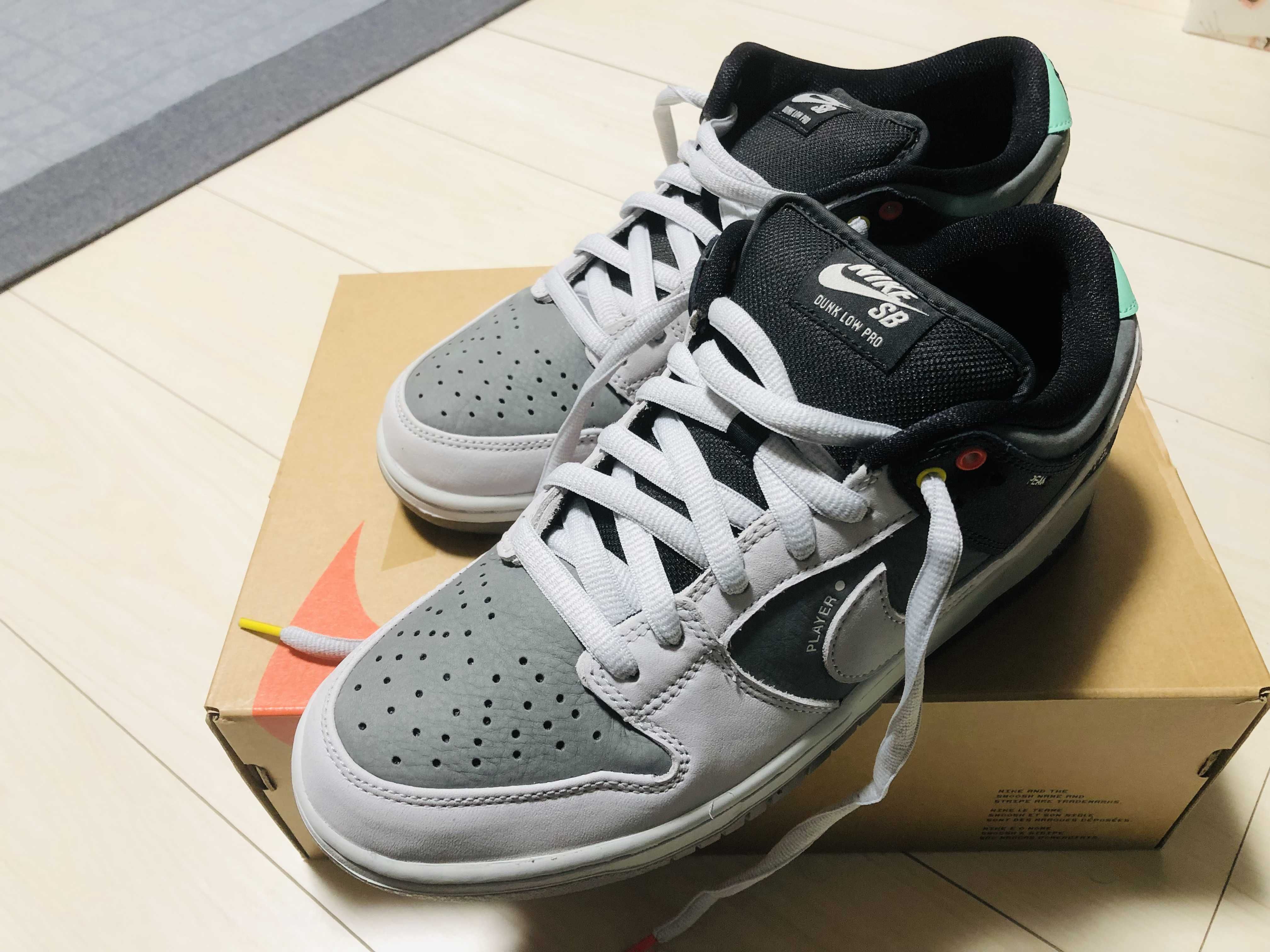 Nike SB Dunk Low Pro "VX1000 Camcorder"