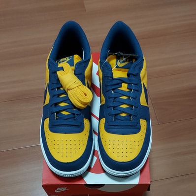 Nike Terminator Low "University Gold and Navy/Michigan"
