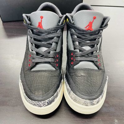 Nike Air Jordan 3 Retro SE "Animal Instinct 2.0/Safari"