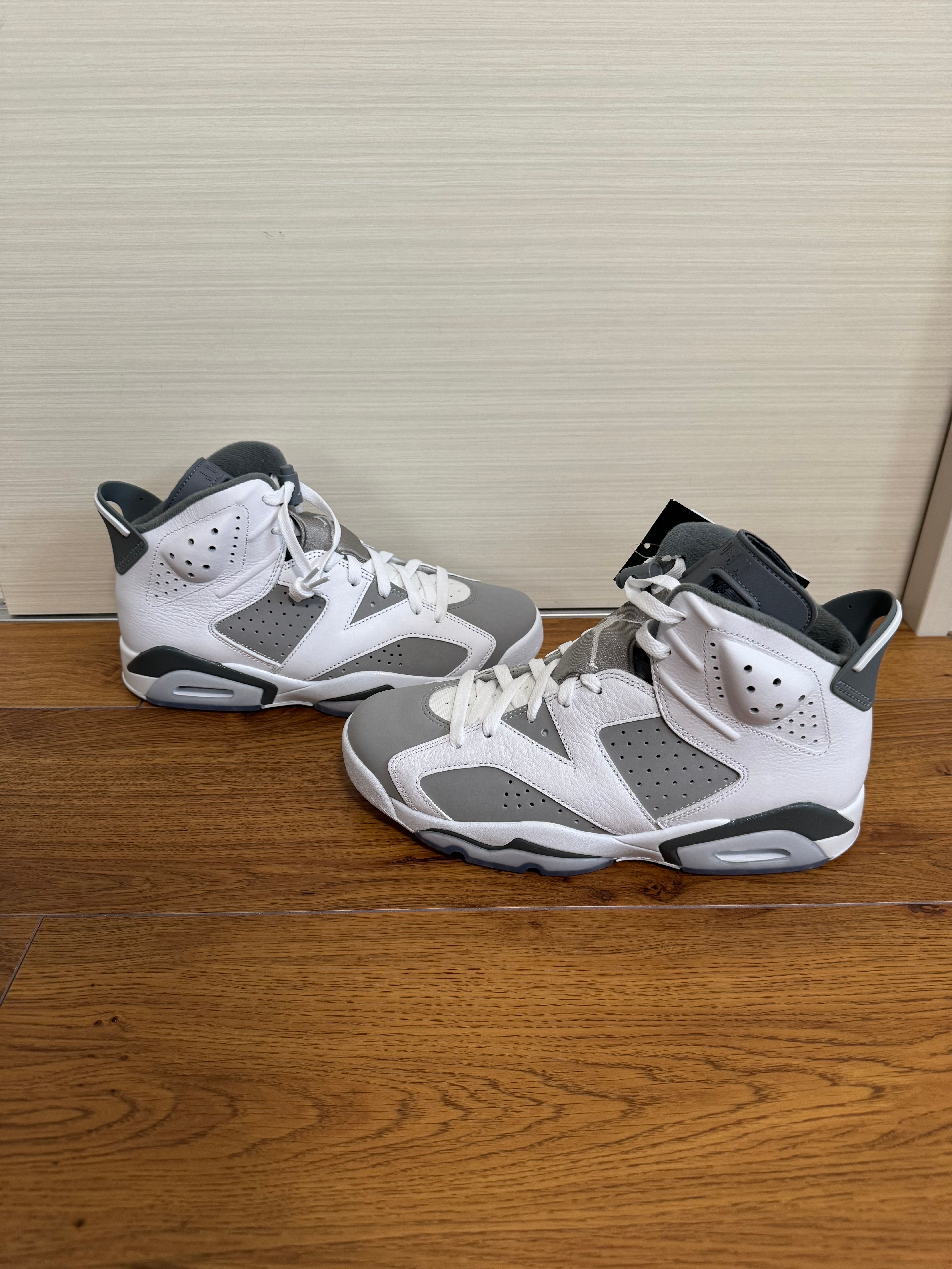 Nike Air Jordan 6 "Cool Grey"