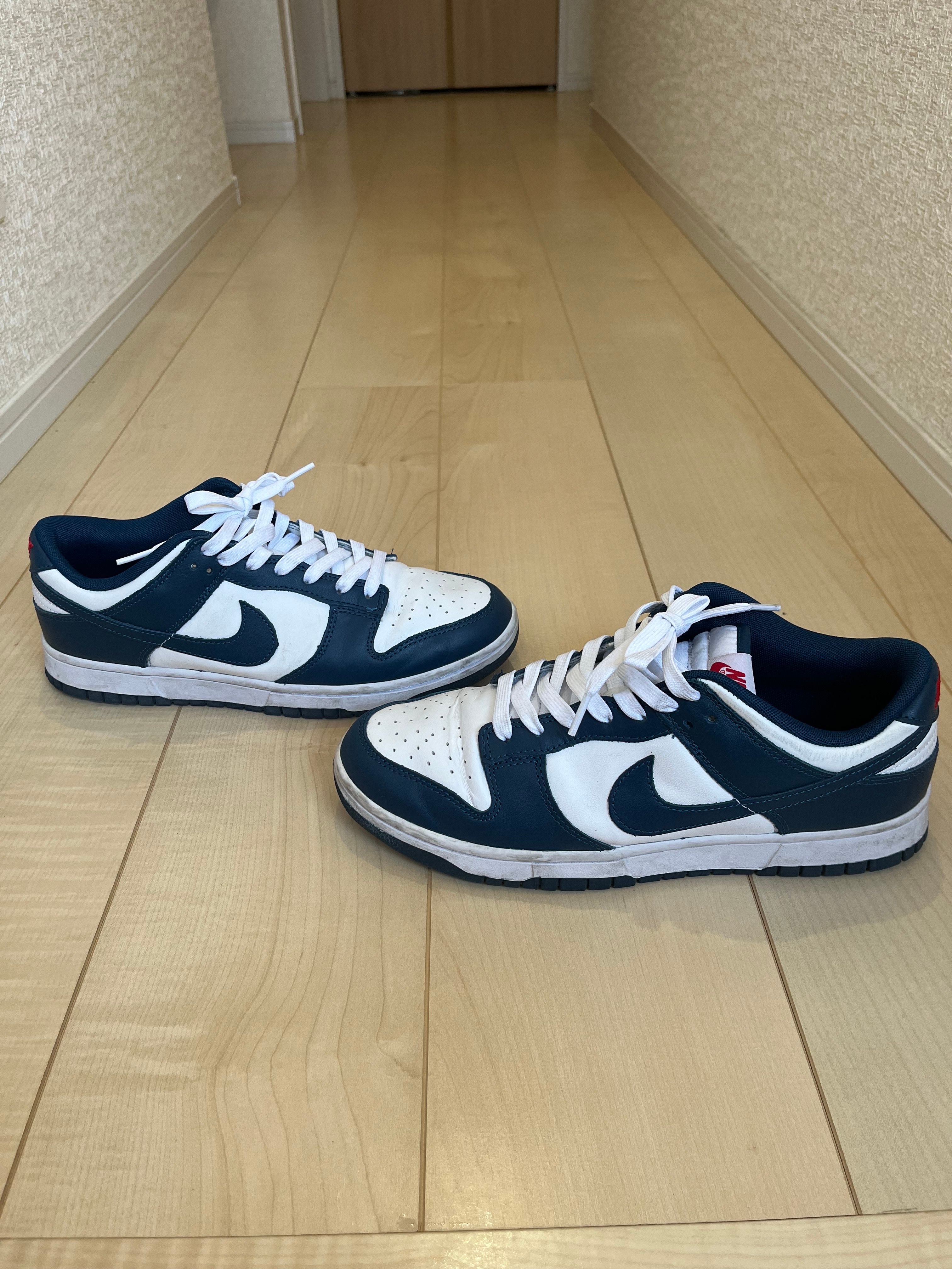 Nike Dunk Low "Valerian Blue"