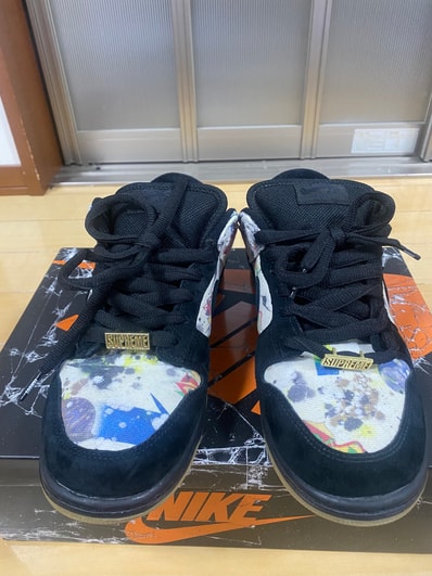 Supreme × Nike SB Dunk Low "Rammellzee"