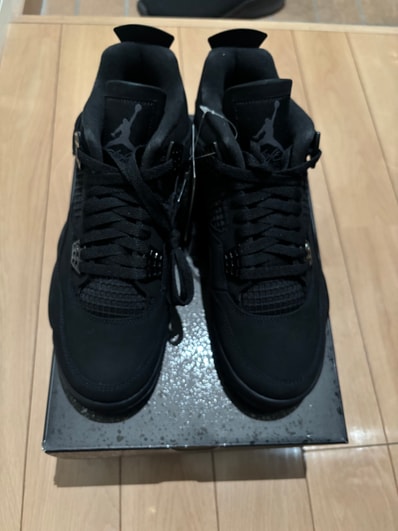 Nike Air Jordan 4 Retro OG "Black Cat" (2025)
