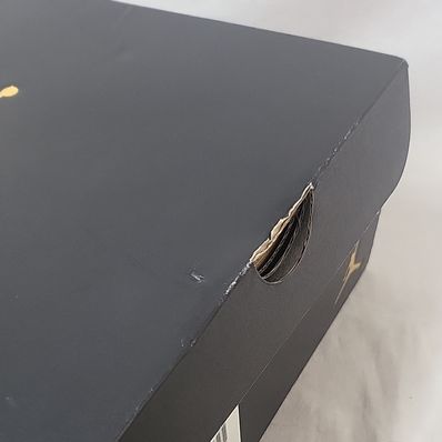 Nike Air Jordan 1 Low "Black Toe"