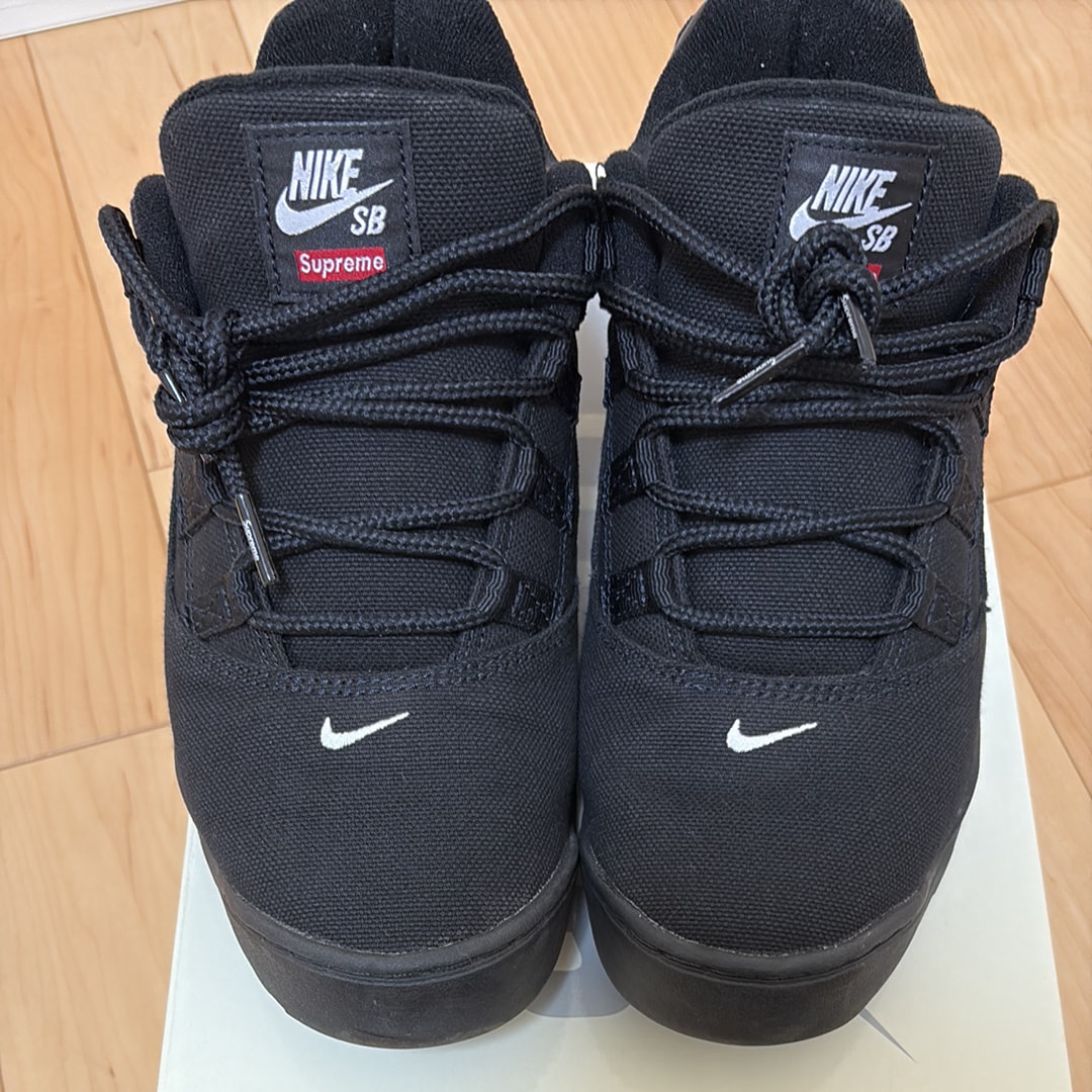 Supreme × Nike SB Darwin Low "Black"