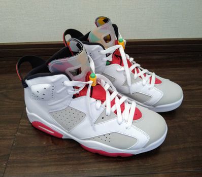 Nike Air Jordan 6 "Neutral Grey/Hare"