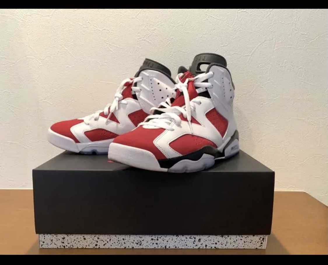 Nike Air Jordan 6 "Carmine" (2021)