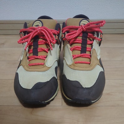 Travis Scott × Nike Air Max 1 "CACT.US Brown"
