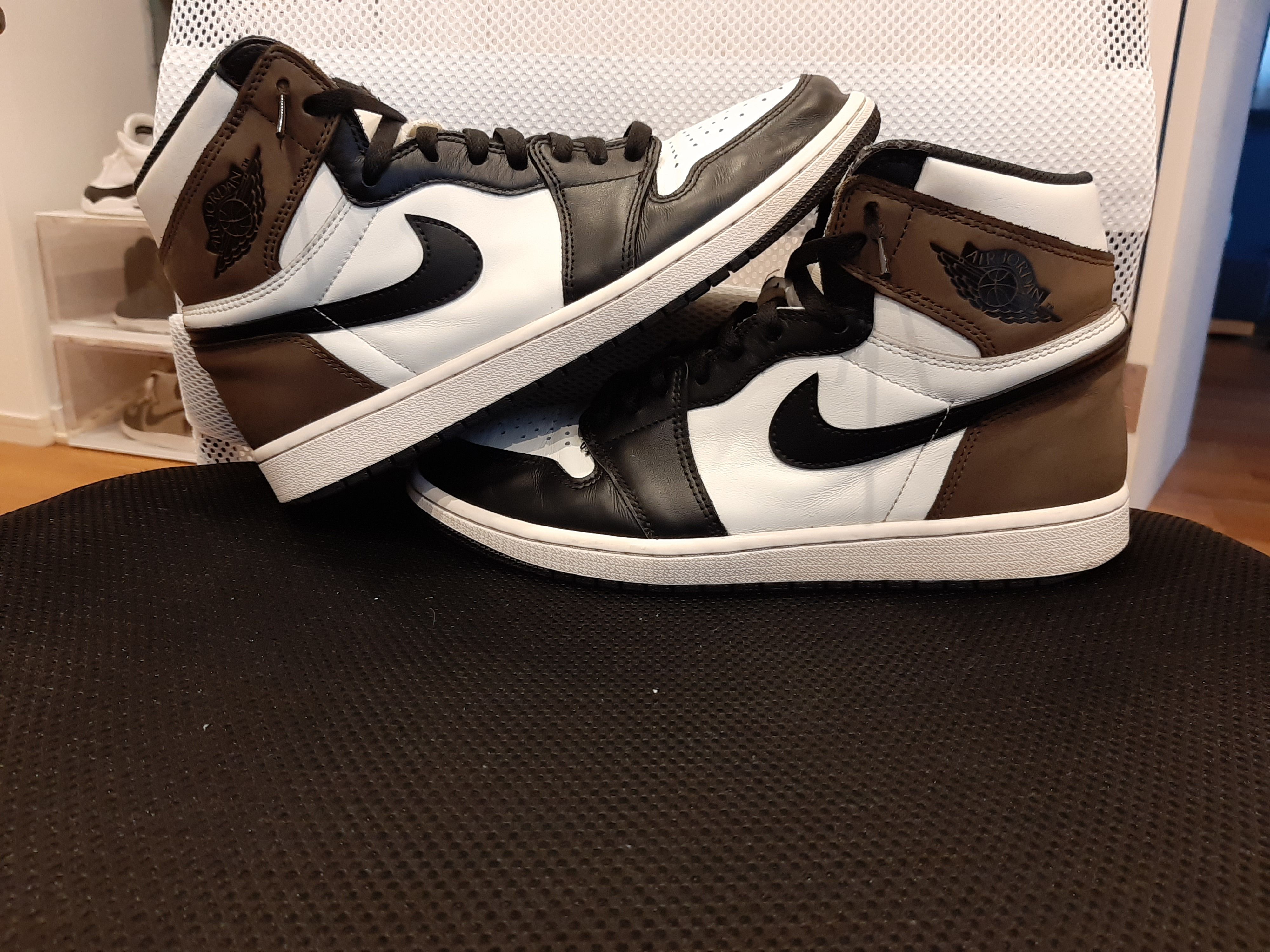 Nike Air Jordan 1 High OG "Sail/Dark Mocha/Black"