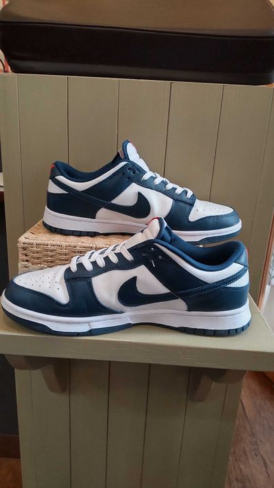 Nike Dunk Low "Valerian Blue"