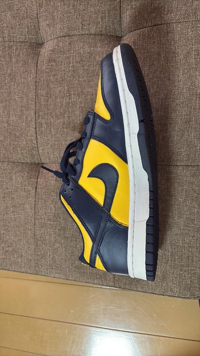 Nike Dunk Low "Michigan"