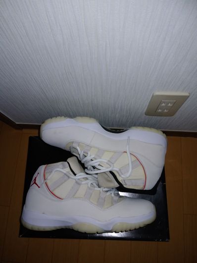 Nike Air Jordan 11 Retro "Platinum Tint"