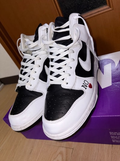 Supreme × Nike SB Dunk High By Any Means "White Black"