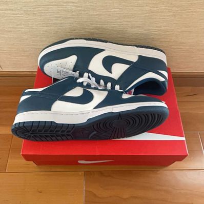 Nike Dunk Low "Valerian Blue"