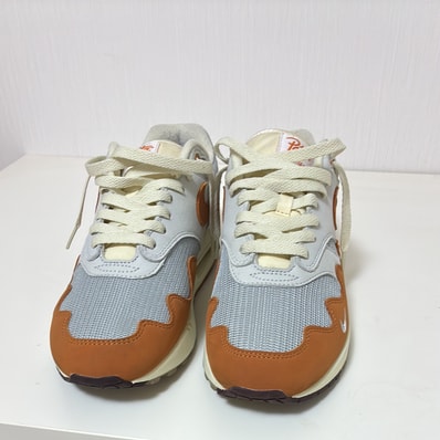 Patta × Nike Air Max 1 "Monarch"