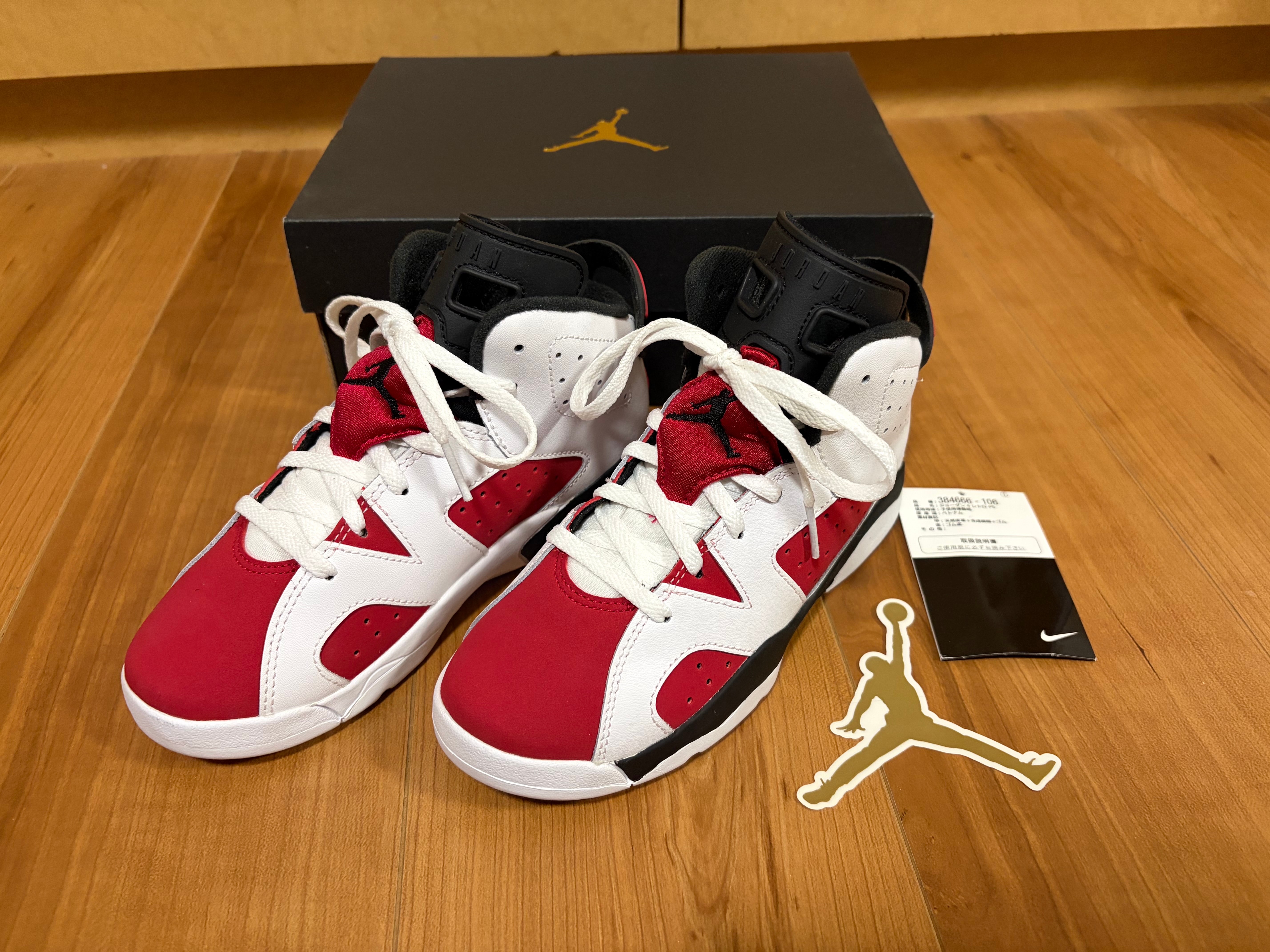 Nike PS Air Jordan 6 "Carmine"(2021)