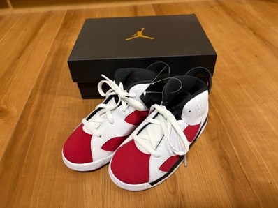 Nike TD Air Jordan 6 "Carmine" (2021)