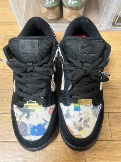 Supreme × Nike SB Dunk Low "Rammellzee"