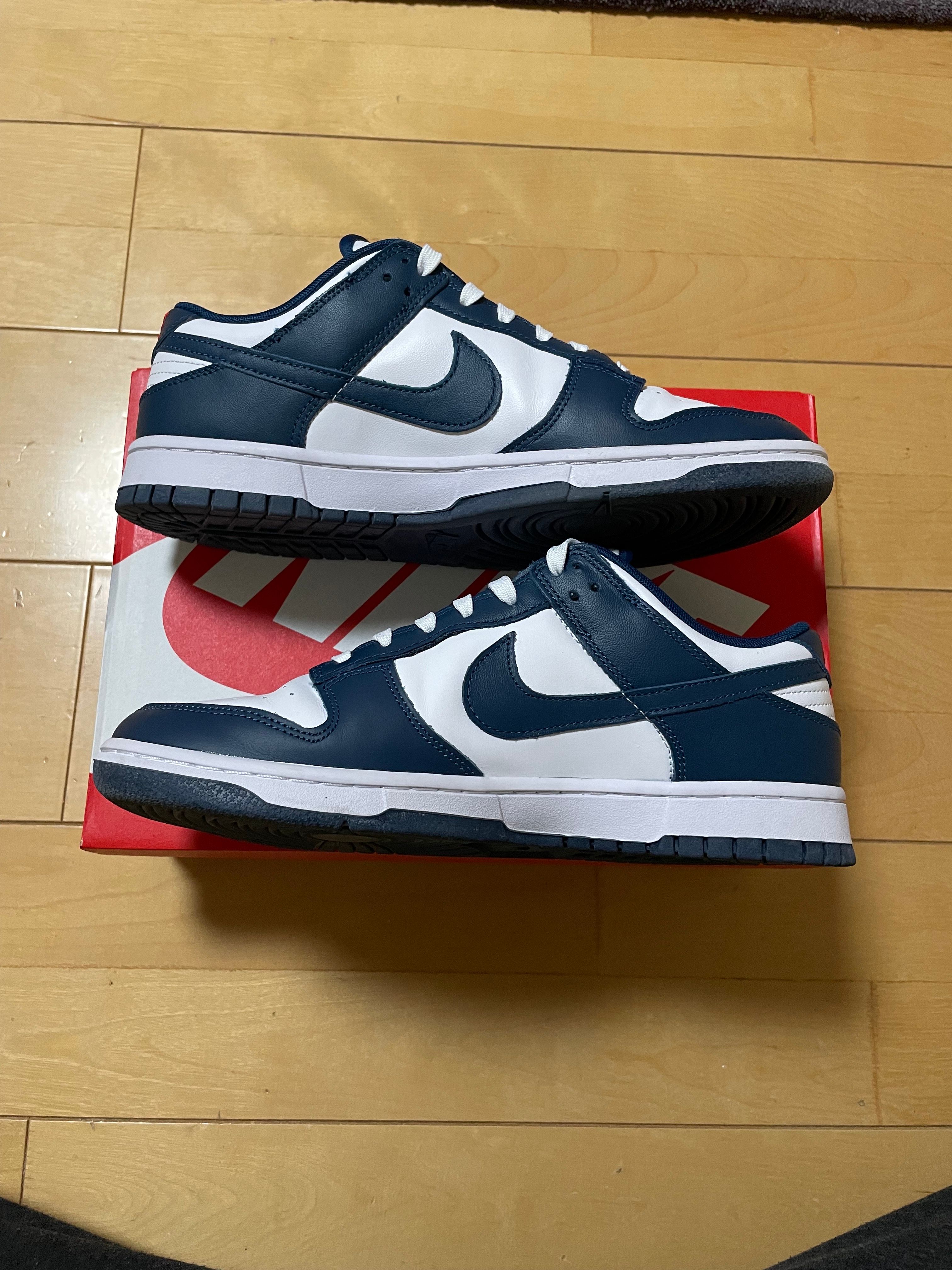 Nike Dunk Low "Valerian Blue"