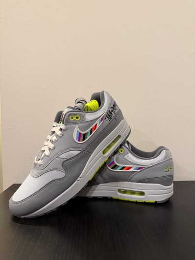 Division Street × Nike Air Max 1 Ducks of a Feather "Tokyo" (300 pairs)